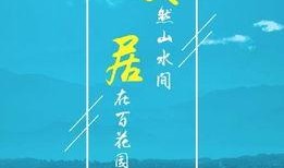 安居官方最新爆料新闻,最新爆料揭示未来住房政策动向