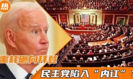 民主党最新爆料,最新爆料揭示政治丑闻！”