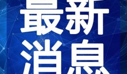辛巴鹿爆料视频最新一期,揭秘娱乐圈惊人内幕！