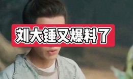 刘大锤明日爆料最新,揭秘娱乐圈惊天秘密！
