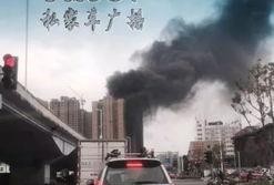 保利香槟爆料视频最新,揭秘神秘项目背后的故事