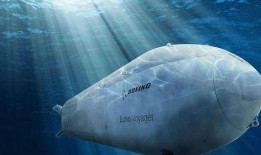 海洋最新爆料消息,最新海洋爆料揭示未知生物奇观