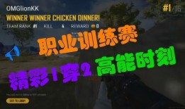 omg训练赛最新爆料,战队备战策略与精彩瞬间大曝光