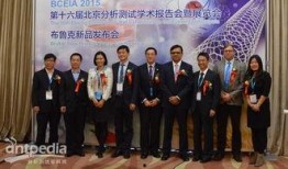 布鲁克新品最新爆料,前沿科技与时尚潮流的完美融合