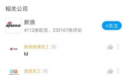 新浪裁员最新爆料,内部爆料揭露裁员真相